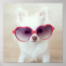 Recherche de de chiwawa posters Chiot