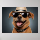 Suche nach coole hüte poster Hund