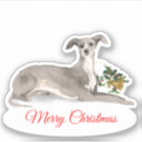 Suche nach greyhound aufkleber Italienischer windhund