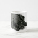 Recherche de cocker noir tasses Mignon