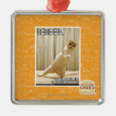 Suche nach fuss ornamente Ich kann habe cheezburger