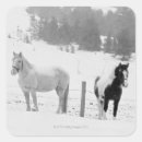 Suche nach pferdebilder aufkleber Natur