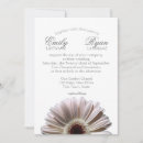 Recherche de white daisy Jardin