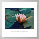 Recherche de lilly posters Eau