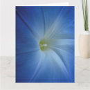 Suche nach morning karten Blumenreich