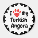 Suche nach türkische magnete Kitty