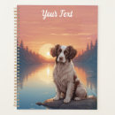 Recherche de springer spaniel Animaux domestiques