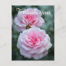 Recherche de la fleur rose remercient Épouser