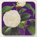 Suche nach redoute untersetzer Pierre joseph redoute