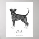 Suche nach boxerhunde poster Haustier