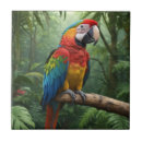 Suche nach papagei macaw fliesen Ara