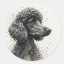 Recherche de caniche noir autocollants Animal