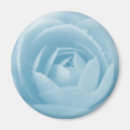 Recherche de camélia magnets Camellie