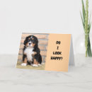 Recherche de anniversaire retard cartes invitations Tardif