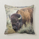 Suche nach bison kissen Amerikanisch