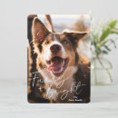 Suche nach hundefoto karten Lustig