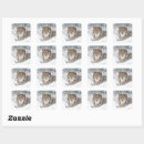 Suche nach luchs aufkleber Natur