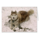 Suche nach heiseres postkarten Hund