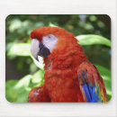 Suche nach scharlachrot mousepads Macaw