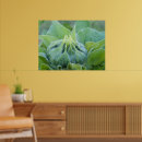 Suche nach feucht poster Foto