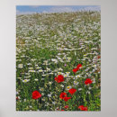 Recherche de champ agricole posters Fleur