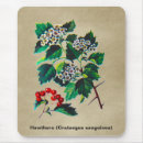 Suche nach sibirien mousepads Russland