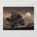 Recherche de chene cartes postales Rivière