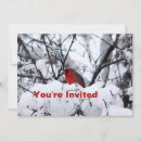 Recherche de cardinal invitations Faune