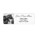 Recherche de horse labels Ranch