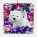 Recherche de westie ornements West highland white terrier