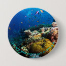 Recherche de scaphandre accessoires Poissons