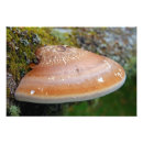 Recherche de pattes de art Imprimer