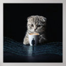 Suche nach regel poster Katze