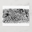 Recherche de calavera cartes postales Crâne