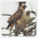 Recherche de oiseaux sauvages autocollants Arbre