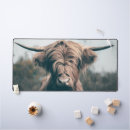 Suche nach rind kuh mousepads Hochlandkuh