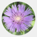 Recherche de pâturage autocollants Jardin