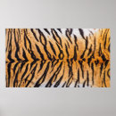 Recherche de jungle animal posters Peau