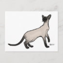 Suche nach siamese cat postkarten Siamisch