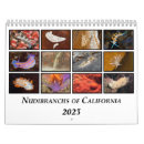 Suche nach taucher kalender Skuba