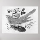 Suche nach kuckuck poster Vogel