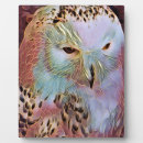 Suche nach eulen fotoplatten Schneeeule