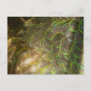 Recherche de subtil cartes postales Nature