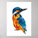 Suche nach eisfischen poster Vögel