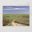 Recherche de otaries cartes postales Plein air