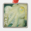 Suche nach indonesien ornamente Ozean