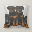Suche nach rottweiler kissen Hund