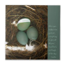 Suche nach quote fliesen Sein