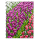 Suche nach tulpen kleine notizbücher Weiß