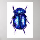 Recherche de carapace posters Aquarelle